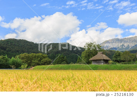 稲穂と茅葺き小屋のある風景 秋 9月の写真素材