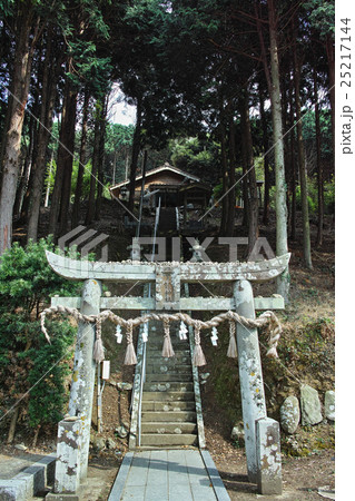 壱岐　月讀神社 25217144