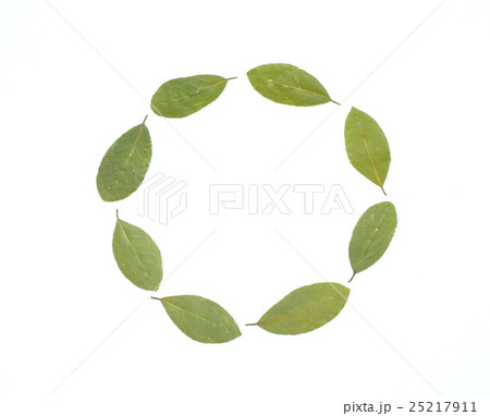 ローリエ 25217911