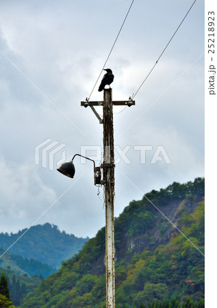 秋田内陸縦貫鉄道 25218923