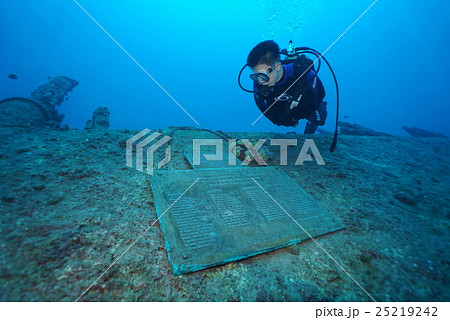 エモンズ 25219242