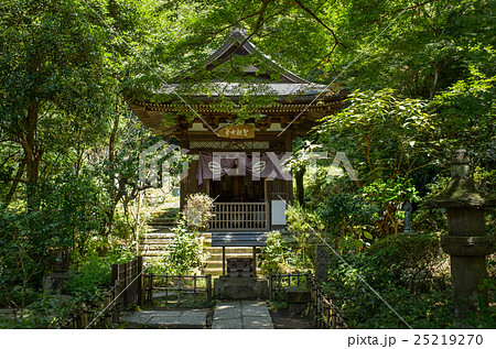 黄梅院　観音堂　鎌倉円覚寺　 25219270