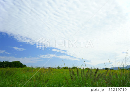 うろこ雲の綺麗な平城京の朝１ 25219710