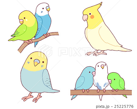 100以上 セキセイ インコ かわいい イラスト かわいい犬のアニメ