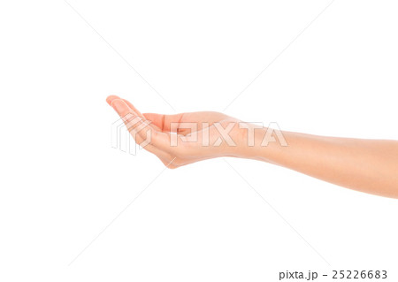 Beautiful woman hand holding isolated on white background . Beautiful woman hand holding isolated on white background . 25226683