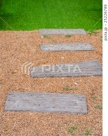 The Walk path in the park with green grass The Walk path in the park with green grass 25226789