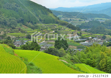 八女の棚田 25227419