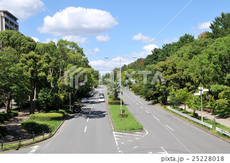 千里の街並み 25228018