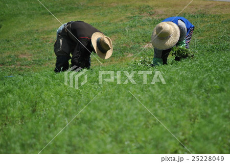 働く 働く 25228049