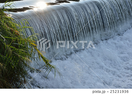 中秋の谷川 25231936