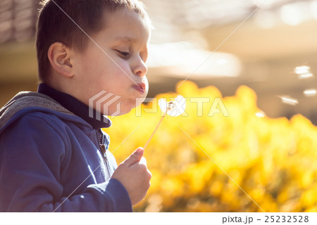 Cute child blowing dandelion at sunset Cute child blowing dandelion at sunset 25232528
