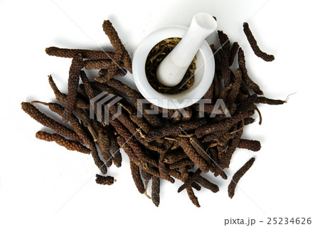Long pepper or Pipli or Dipli (Piper longum) Long pepper or Pipli or Dipli (Piper longum) 25234626