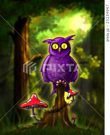 Fairy Owl in the Forest Fairy Owl in the Forest 25234947