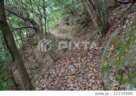 六甲山系旧摩耶道 六甲山系旧摩耶道 25234990