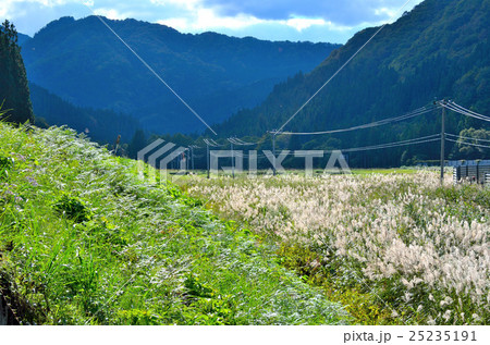 秋田内陸縦貫鉄道沿線風景 25235191