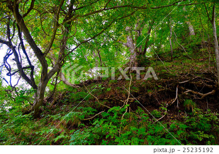 秋田内陸縦貫鉄道沿線風景 25235192