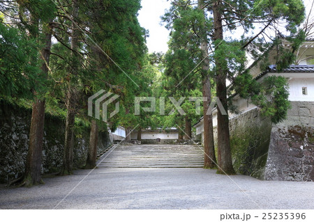 飫肥城址 25235396