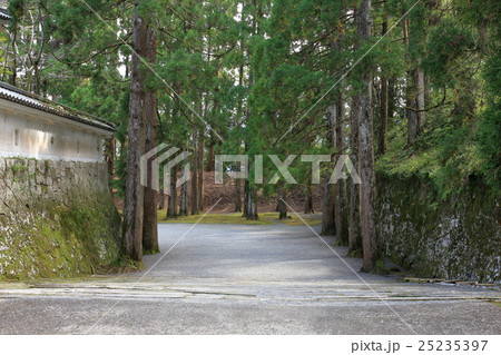 飫肥城址 25235397