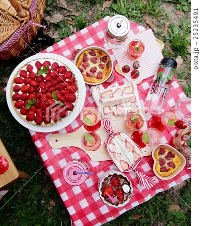 おしゃれピクニックの写真素材