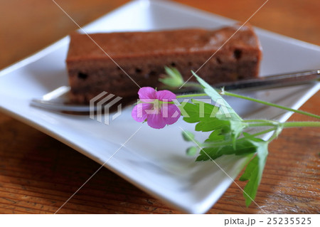 チョコレートケーキ チョコレートケーキ 25235525