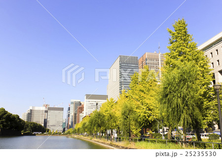 東京 日比谷通りの街並み 25235530