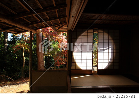 常照寺の紅葉 25235731