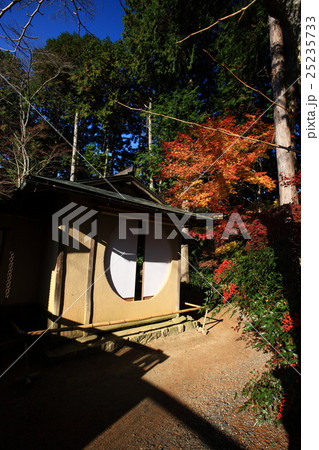 常照寺の紅葉 常照寺の紅葉 25235733