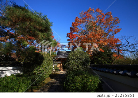 源光庵の紅葉 25235851