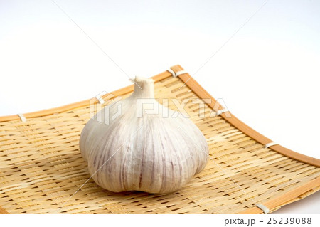ニンニク 25239088