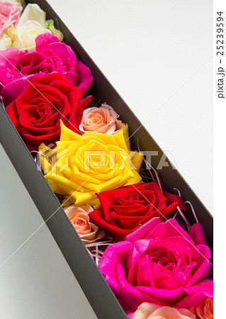 薔薇の花箱詰めの写真素材
