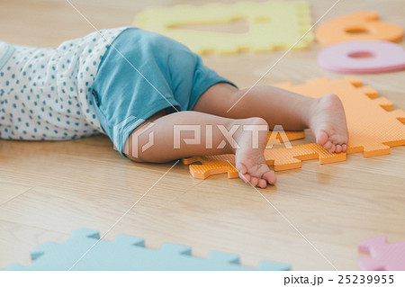 11 months old 25239955