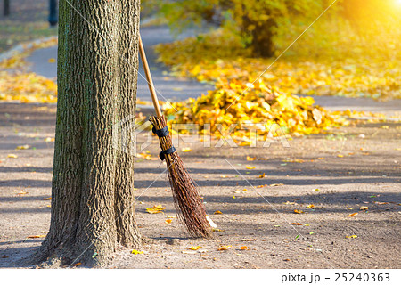 Cleaning in the autumn park Cleaning in the autumn park 25240363