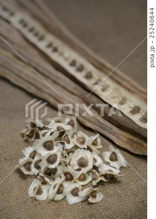 Dried Moringa pods and seeds on sackcloth 25240644