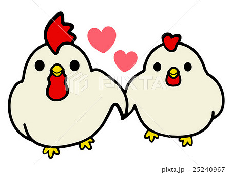 ニワトリのカップルのイラスト素材 [25240967] - PIXTA