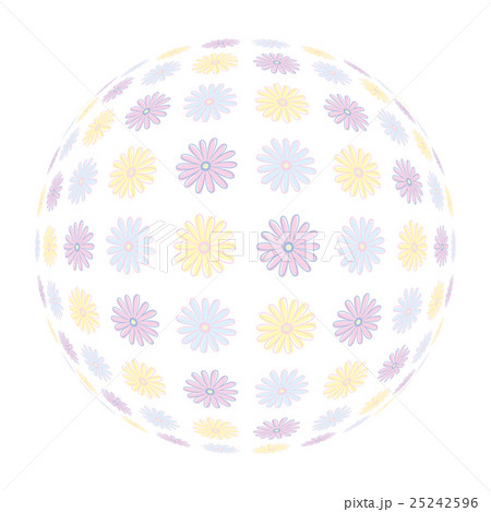 ガーベラ　球体 25242596