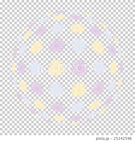 ガーベラ　球体 25242596