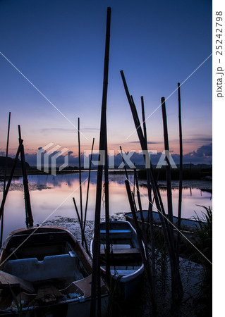 印旛の夜明け 印旛の夜明け 25242798