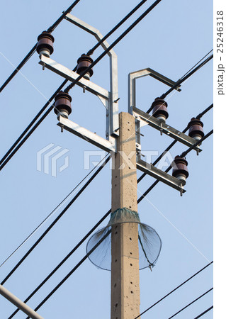 electricity post with bug and snake guard electricity post with bug and snake guard 25246318