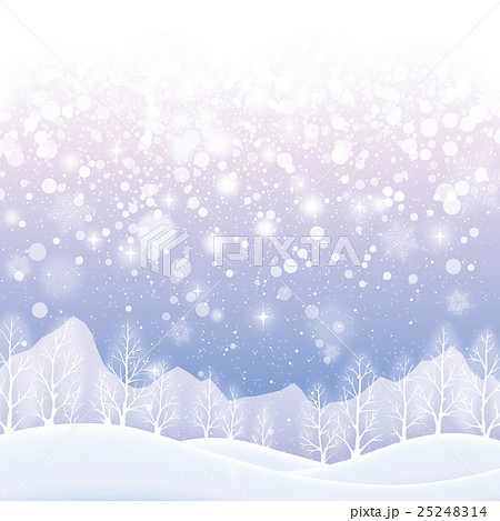 北国の雪景色のイラスト素材 25248314 Pixta