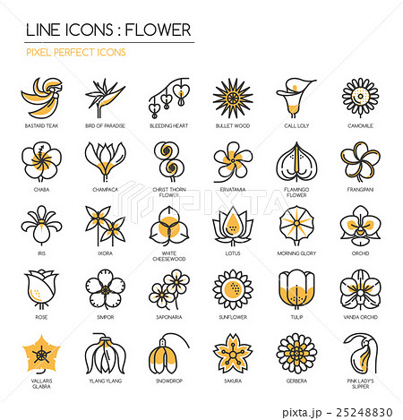 Flower, thin line icons set , Pixel perfect icons 25248830