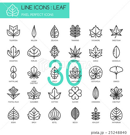 Leaf , thin line icons set ,pixel perfect icon 25248840