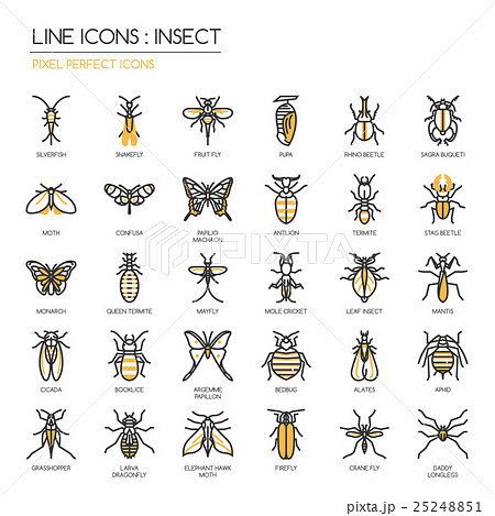 Insect Thin Line Icons Set Pixel Perfect Iconのイラスト素材