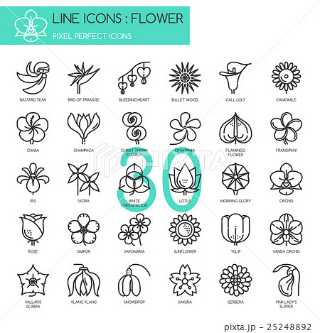 Flower, thin line icons set , Pixel perfect icons 25248892