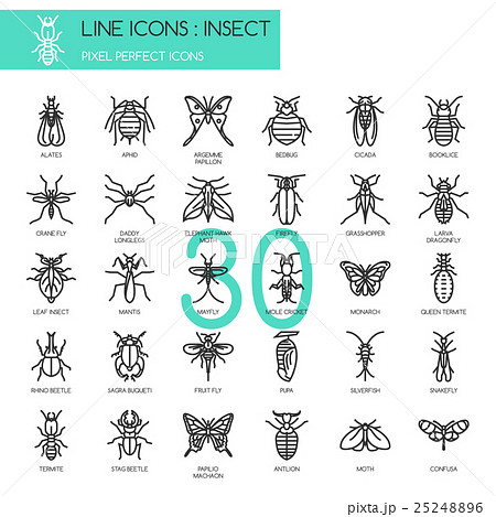 Insect , thin line icons set ,pixel perfect icon 25248896