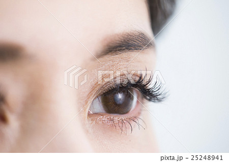 ビューティーイメージ 25248941