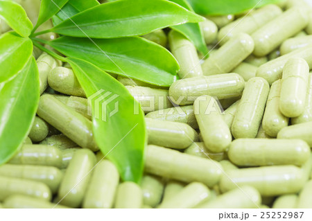 Schefflera leucantha herbal powder in the capsule 25252987