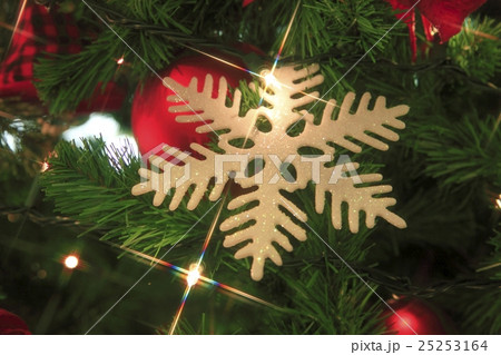 クリスマスオーナメント 25253164