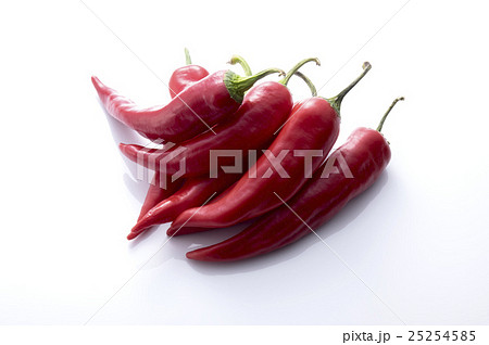 赤い万願寺唐辛子 赤い万願寺唐辛子 25254585