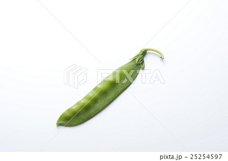 キヌサヤ 25254597