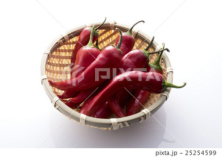 赤い万願寺唐辛子と笊 25254599